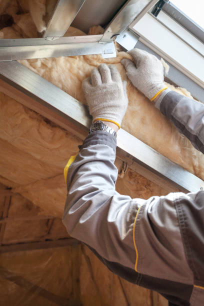 Best Wall Insulation Installation  in Stanley, ND