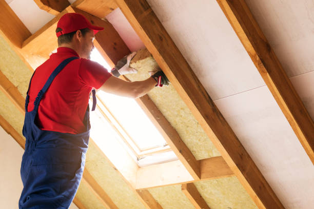 Types of Insulation We Offer in Stanley, ND